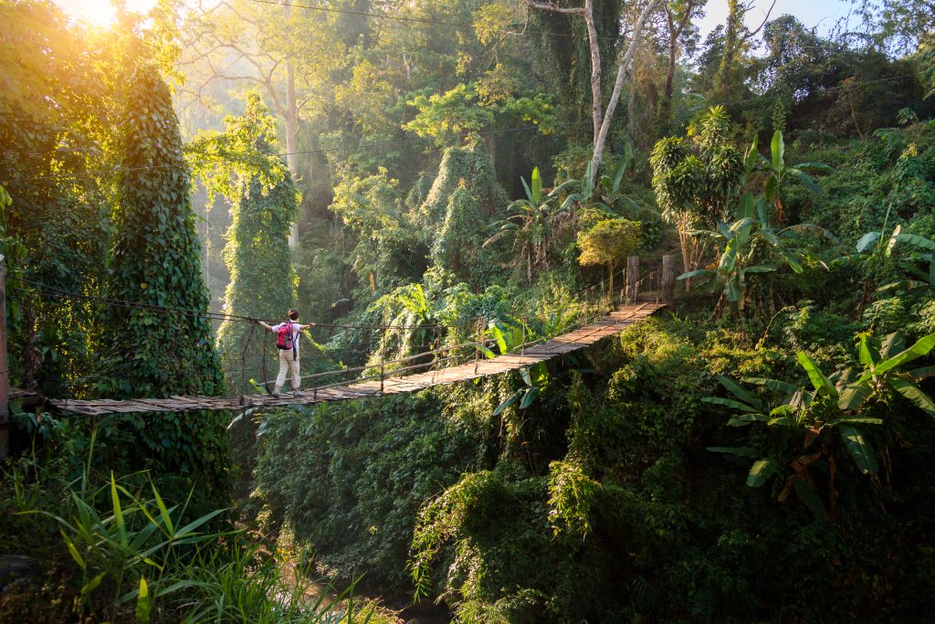 Backpacker on suspension bridge in rainforest and Thailand adventure - Blue Ribbon Travel