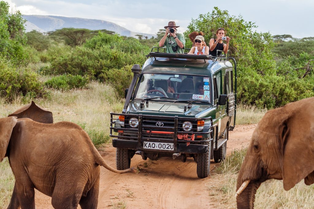 vehicle exploring the African savannah on safari game drive, Masai Mara, Kenya - Blue Ribbon Travel