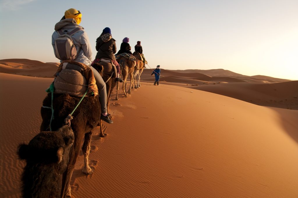 Tourists on train of camels in Sahara led by guide - Blue Ribbon Travel