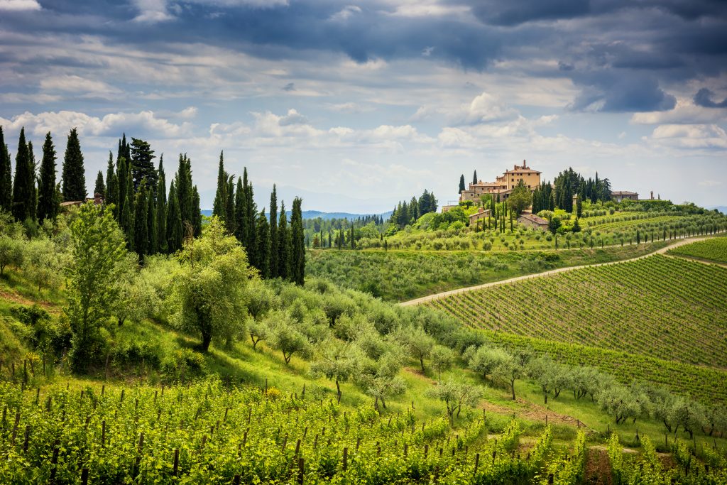 Chianti hills with vineyards and cypress. Tuscan Landscape - Blue Ribbon Travel