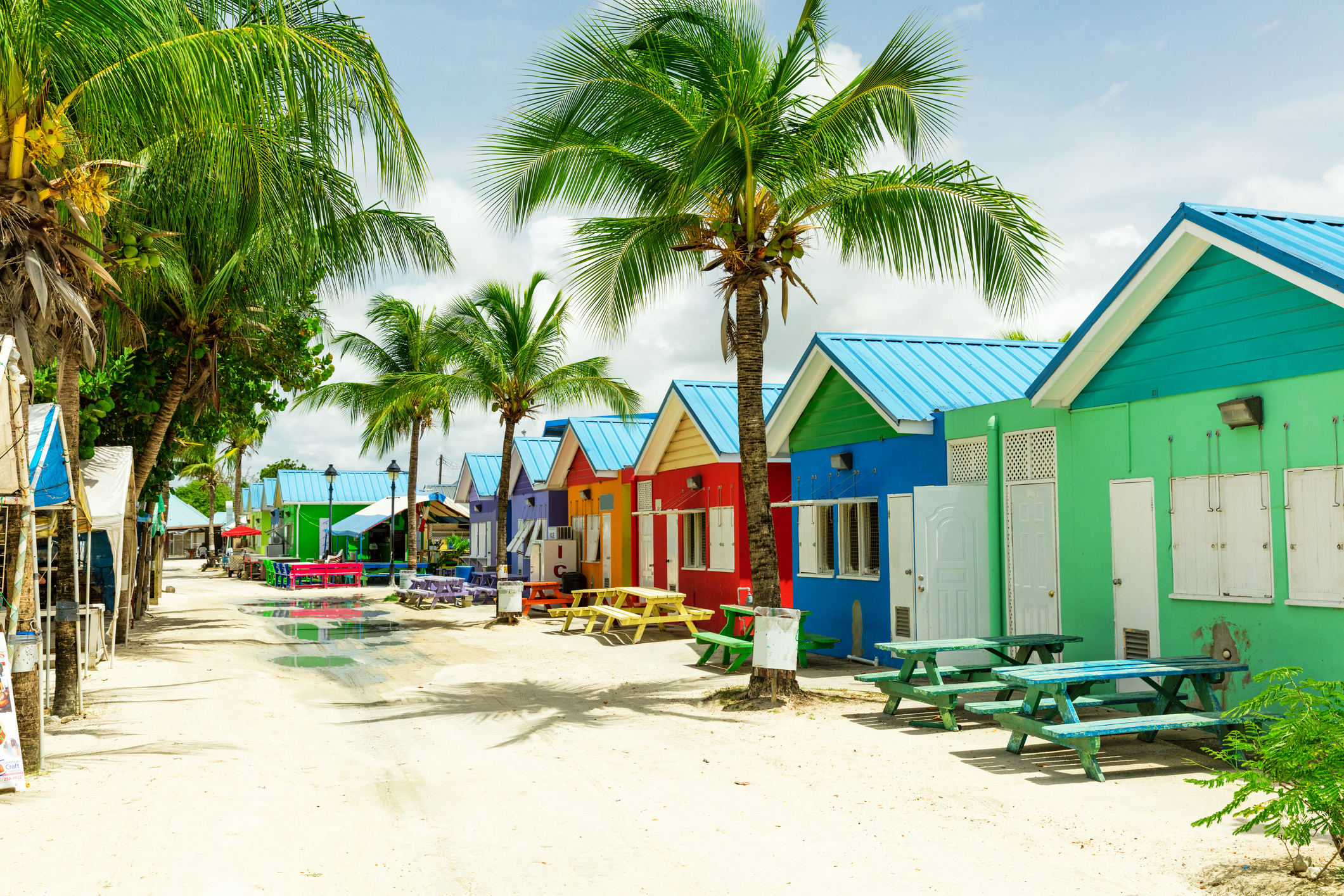 Colourful houses on the tropical island of Barbados - Blue Ribbon Travel 